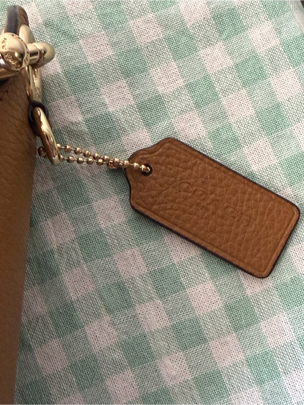 Coach Jes Light Saddle Brown Messenger Bag - Picture 13 of 13